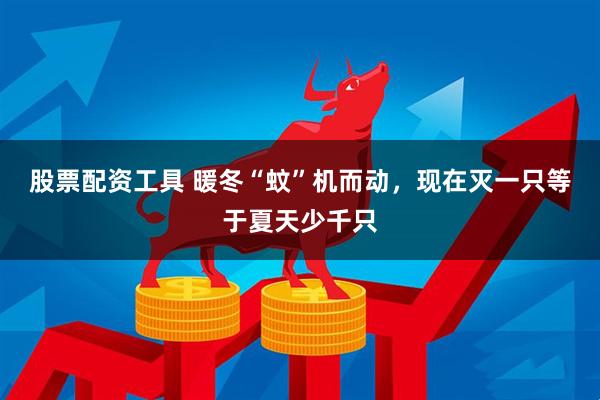 股票配资工具 暖冬“蚊”机而动，现在灭一只等于夏天少千只