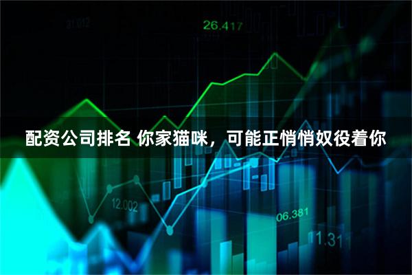 配资公司排名 你家猫咪，可能正悄悄奴役着你